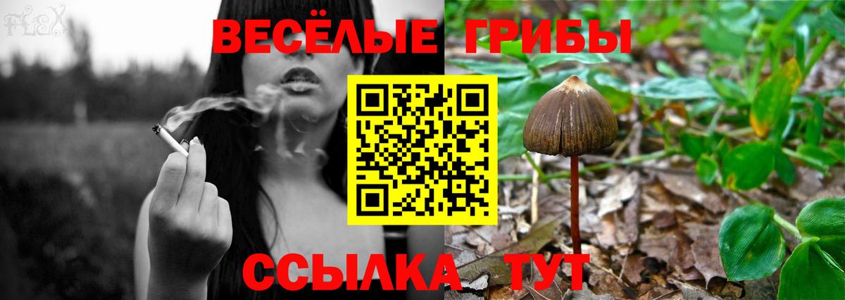Галлюциногенные грибы мухоморы  Вход с VPN  магазин продажи   Ржев 