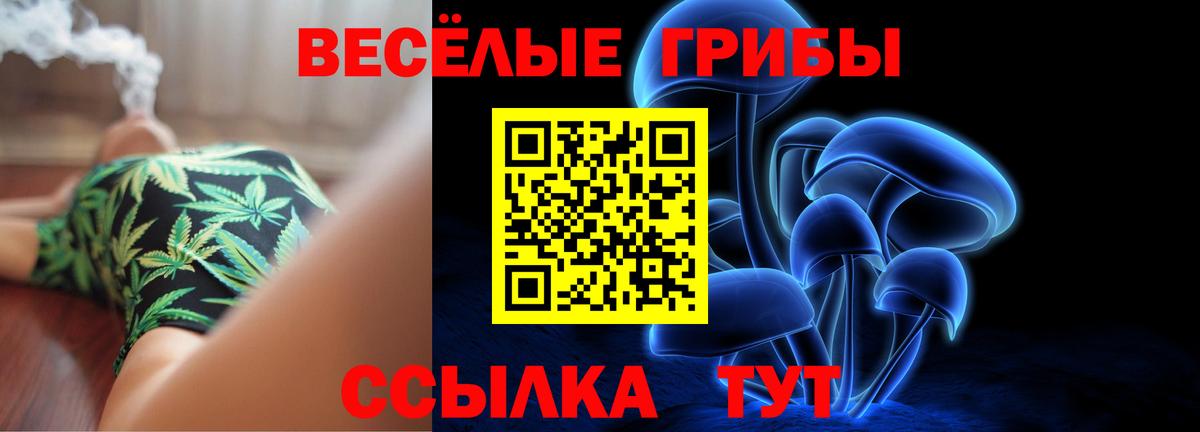 Псилоцибиновые грибы мицелий Ржев
